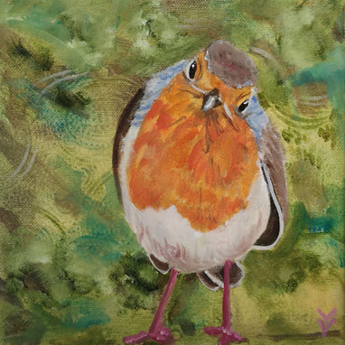 53. Robin in green 20x20cm VERKOCHT