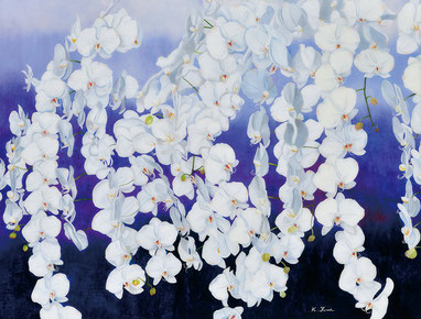 第70回一陽展　胡蝶蘭