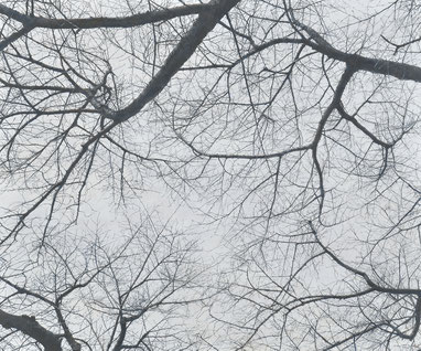 第69回一陽展　空 23ーⅠ