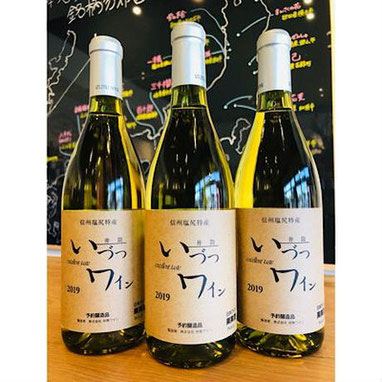 いづつワイン白　白ワイン　日本ワイン
