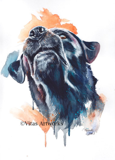 Hundeportrait in Aquarell 