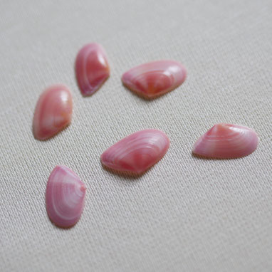 桜貝とは 鎌倉由比ヶ浜は桜貝が拾える名所のひとつです さくら貝アクセサリー Lino Drops Kamakura