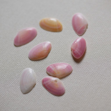 桜貝とは 鎌倉由比ヶ浜は桜貝が拾える名所のひとつです さくら貝アクセサリー Lino Drops Kamakura