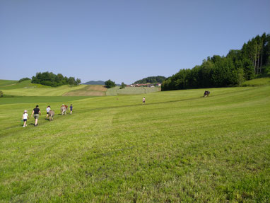 Kindersäumertour