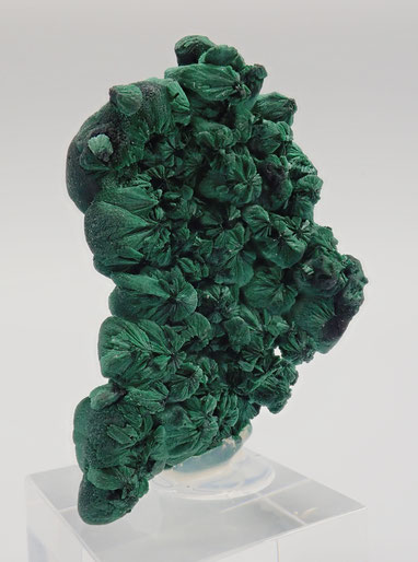 Botroidal Malachite