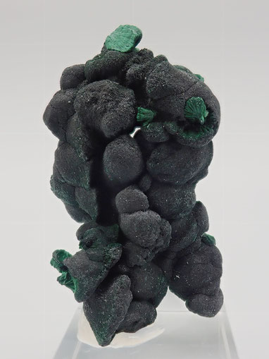 Botroidal Malachite