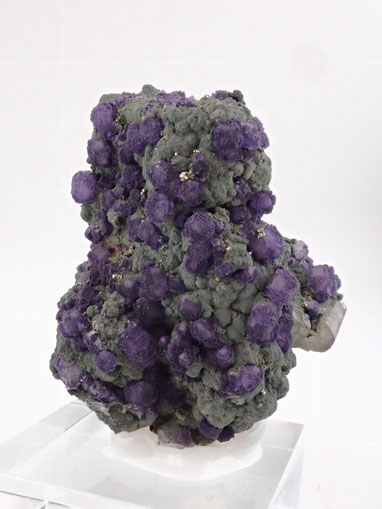 Fluorite with apatite Panasqueira mines
