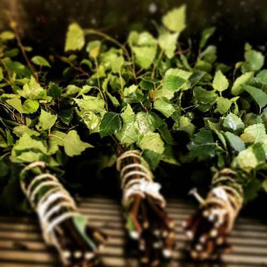 séjour détente à la ferme des ânes