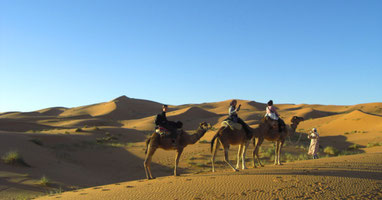 Excursion en dromedario por las Dunas de Merzouga - Solomarruecos.com