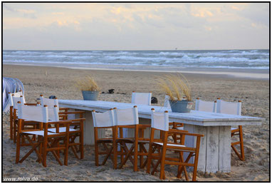 Frühstück am Meer#Schoorl#Nordsee#Roland Valter#rolva#Natur-Fotografie#Aachen 