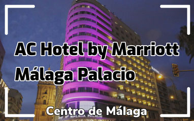 Hotel Malaga Palacios