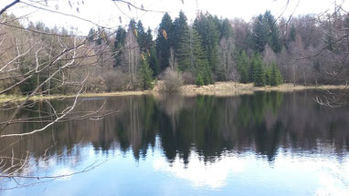 Von der Siedlung am Siebenbornweiher sind immerhin Name und Weiher erhalten geblieben. Er  wurde im Auftrag des Kurfürsten von Trier um 1770 als Floßweiher angelegt, um Stammholz von dort in die Ruwer und über Mosel und Rhein bis nach Holland zu flößen.