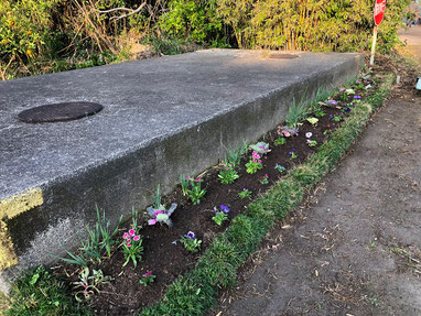 花壇もキレイに植え替えてもらいました～♪