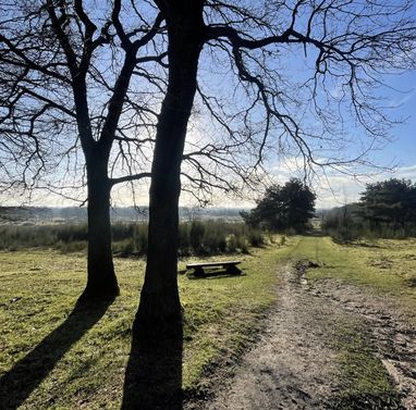Trailrunning. Samen trails lopen Utrechtse Heuvelrug Veluwe. Social trail run. Trailrun. Trailrun reizen. Hardloopcoaching. Kwintelooijen Rhenen trail.