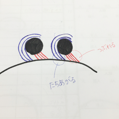 髪にボリュームがほしいからといって根元からパーマをあてるのは間違い
