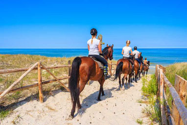 Belek Pferde Reiten Safari