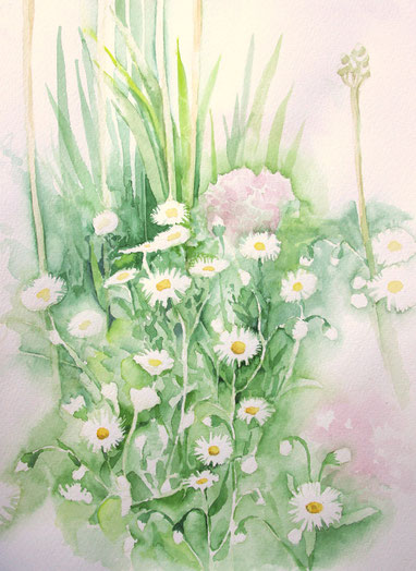 Aquarellbild "Blumenbeet": Margariten und Gräser eines Blumenbeetes im Botanischen Garten