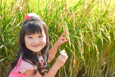 水稲と子どものイメージ（写真）