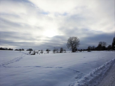 Tief verschneite Winterlandschaft in fahlem Gegenlicht, am Himmel dramatische Wolken