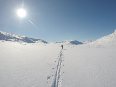 Die ersten Spuren im Tiefschnee