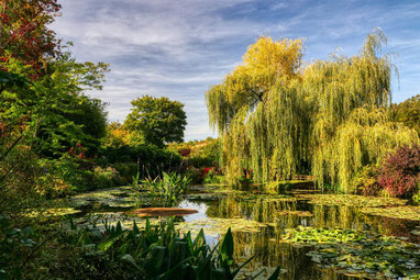 Wassergarten von Monet in Giverny