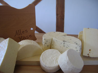 Verschiedene Käsesorten vor einem Holzschild mit "Alles Käse"-Aufschrift
