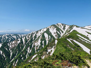 小朝日岳より大朝日を望む