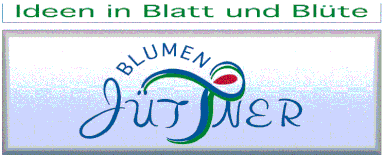 Blumen Jüttner