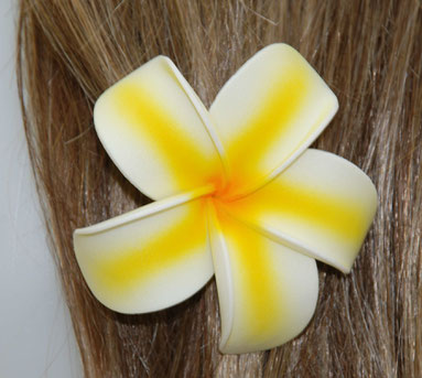 Plumeria Haarclip