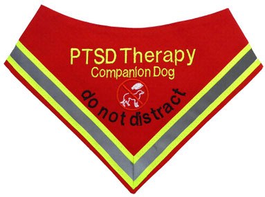 PTBS Halstuch, PTSD, Therapie