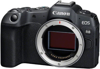 canon EOS R8
