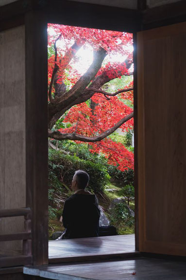 京都栄摂院の紅葉