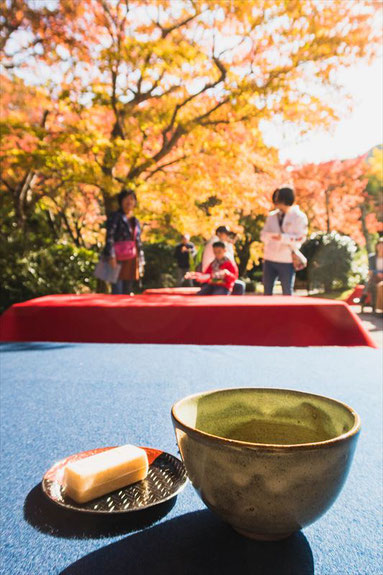 嵐山大河内山荘の紅葉