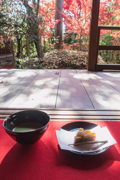 妙心寺塔頭大法院のお抹茶とお茶菓子