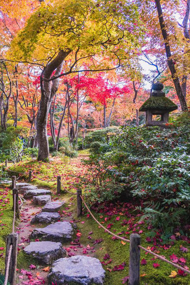 嵐山大河内山荘の紅葉