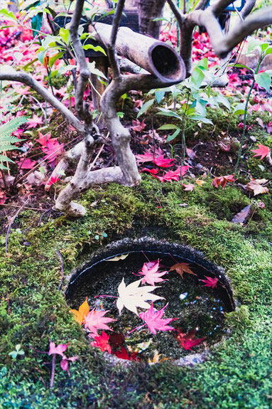 嵐山大河内山荘の紅葉