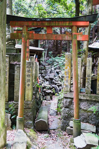 京都トレイル東山コース深草