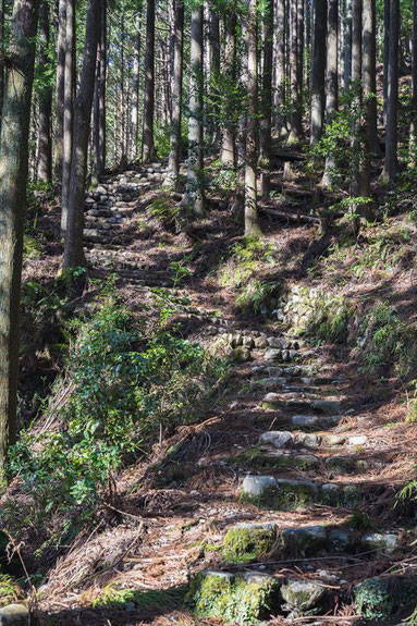 熊野古道赤木越え