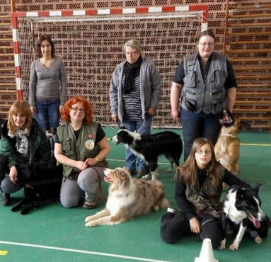 Un week-end consacré à l’obéissance - Venus des clubs de la région du grand Est, les maîtres de chien se sont donné rendez-vous au gymnase Musset à Folschviller, pour un week-end consacré à l’obéissance.- Article Républicain Lorrain Saint Avold 12/03/2013