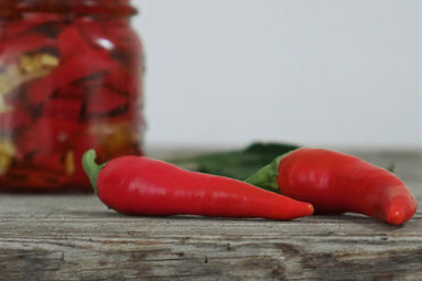 Chilischoten