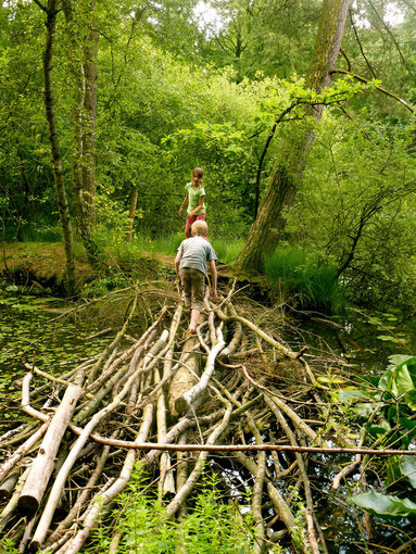 Naturverbindung von Kindern fördern - Fortbildung für Multiplikatoren aus der Bildungs- und Erziehungsarbeit "Spielzeit!" Wildnisschule Habichtswald