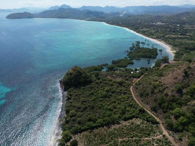 Sumbawa land for sale