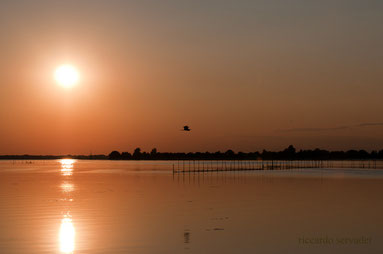 Gorino, tramonto sul delta del PO