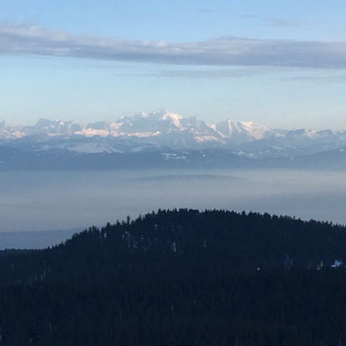 panorama sur les Alpes depuis le Mont Sala - rando