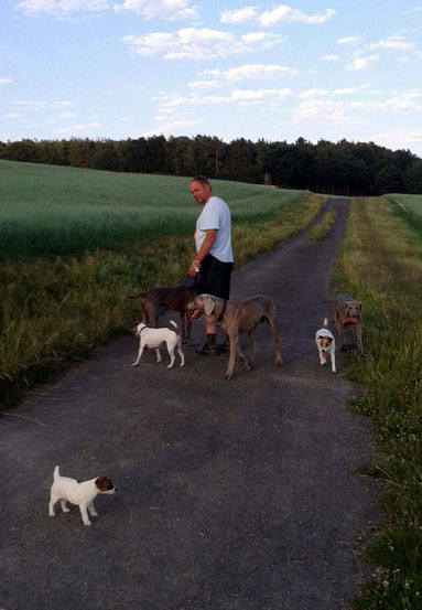 Unser letzter Spaziergang mit allen zusammen!