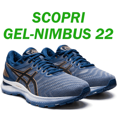 Gel Nimbus 22 Asics