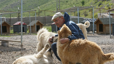 Tierheim Bitlis (Südostanatolien)