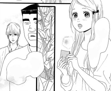 ©Kazune Kawahara/Aruko, My Love Story!!, Panini 2016