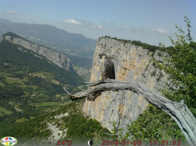 escalade presles