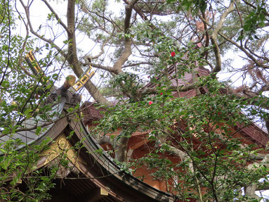 　　　　　　　　　　　　浅間神社